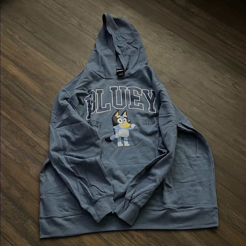 Bluey Graphic Hoodie